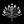 BlackLotus